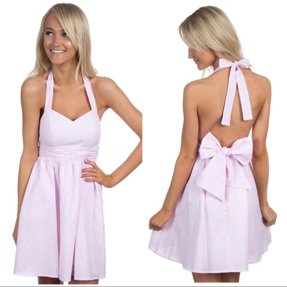Lauren James Dresses & Skirts - Pink seersucker Stratton dress
